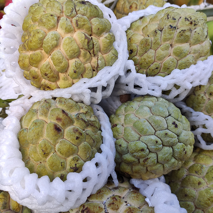 Mãng cầu na